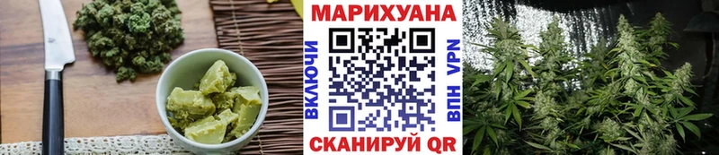 наркота  блэк спрут маркетплейс  площадка телеграм  Андреаполь  Cannafood марихуана 