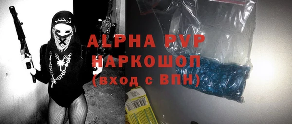 гашик Алексеевка