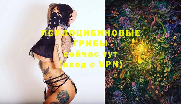 МДПВ Алексин