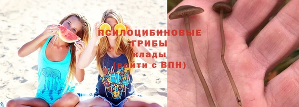 гашик Алексеевка