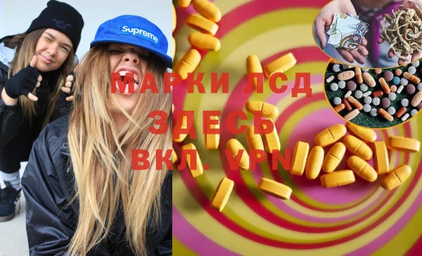 гашик Алексеевка