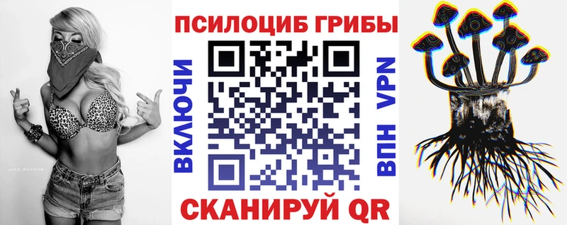 kraken маркетплейс  Андреаполь  Галлюциногенные грибы Psilocybe  как найти закладки 